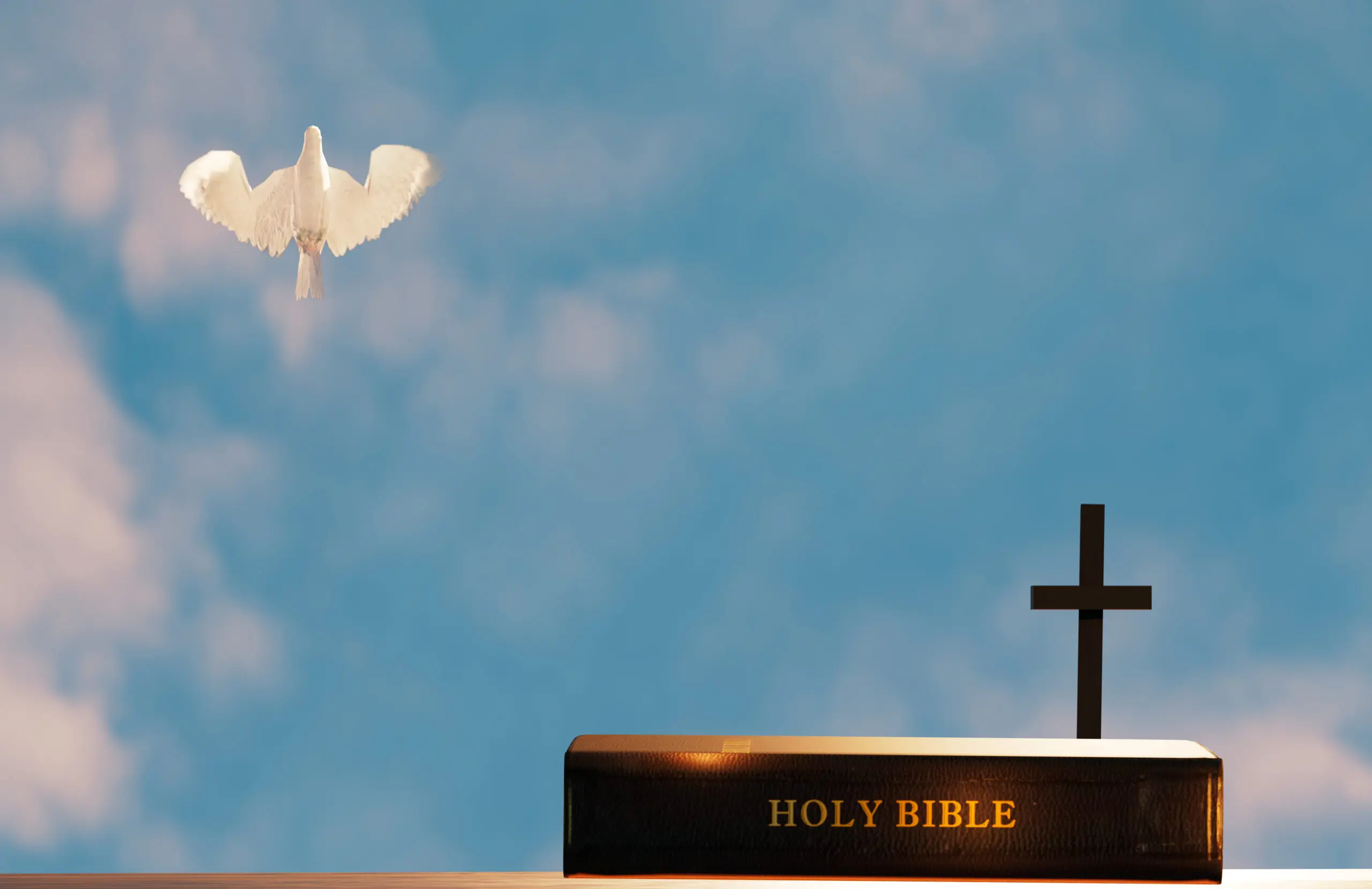 Dove flying above Bible and cross.